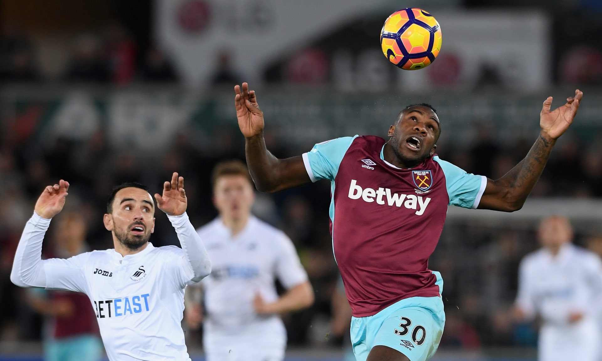 形成了对比 形成了对比